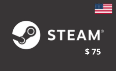 Steam USA $100